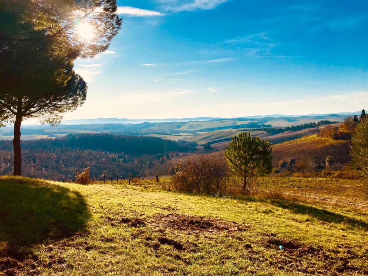 Agriturismo Sole Villa Trequanda Eksteriør billede