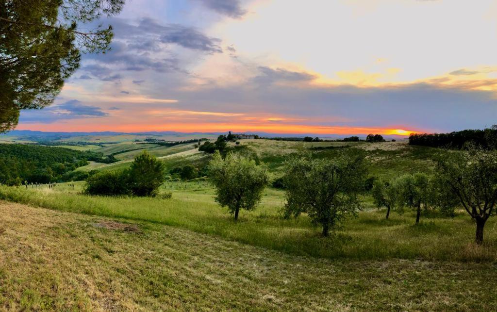 Agriturismo Sole Villa Trequanda Eksteriør billede